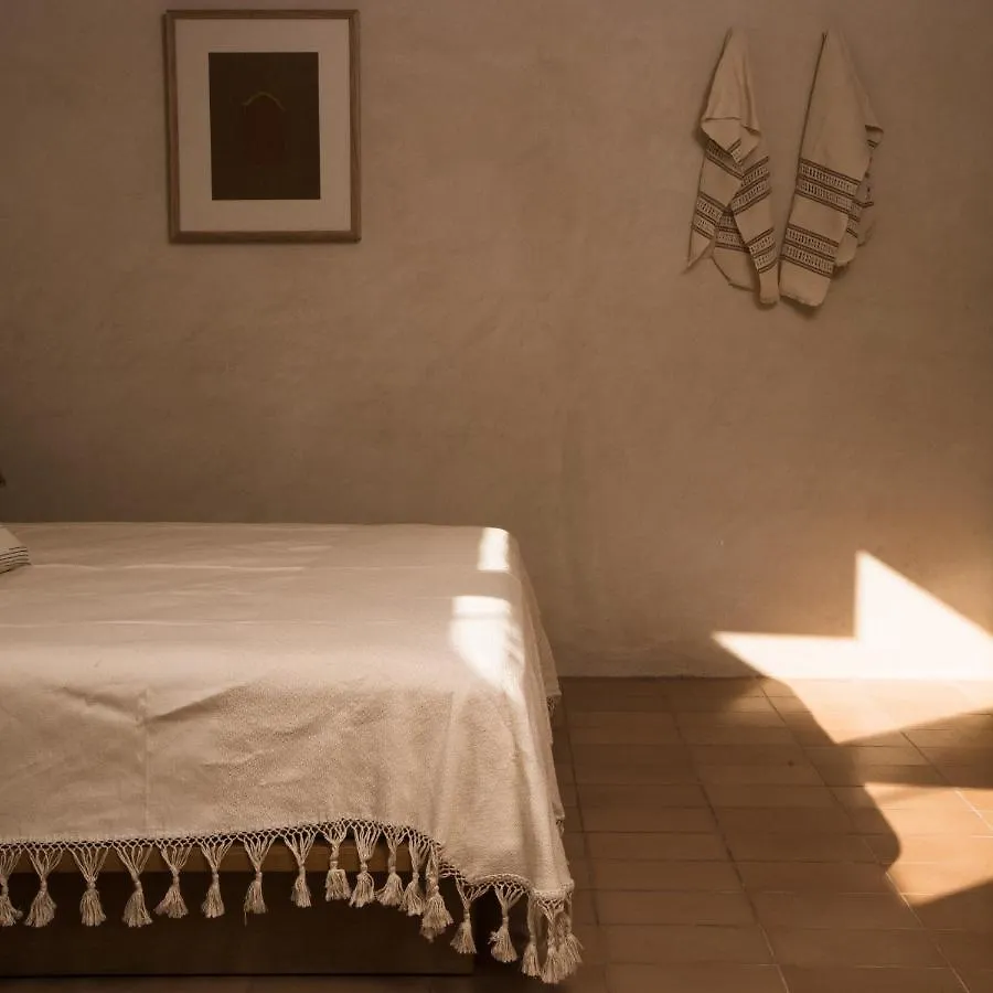 Casa Montore By Barrio Mexico Guadalajara Hotel