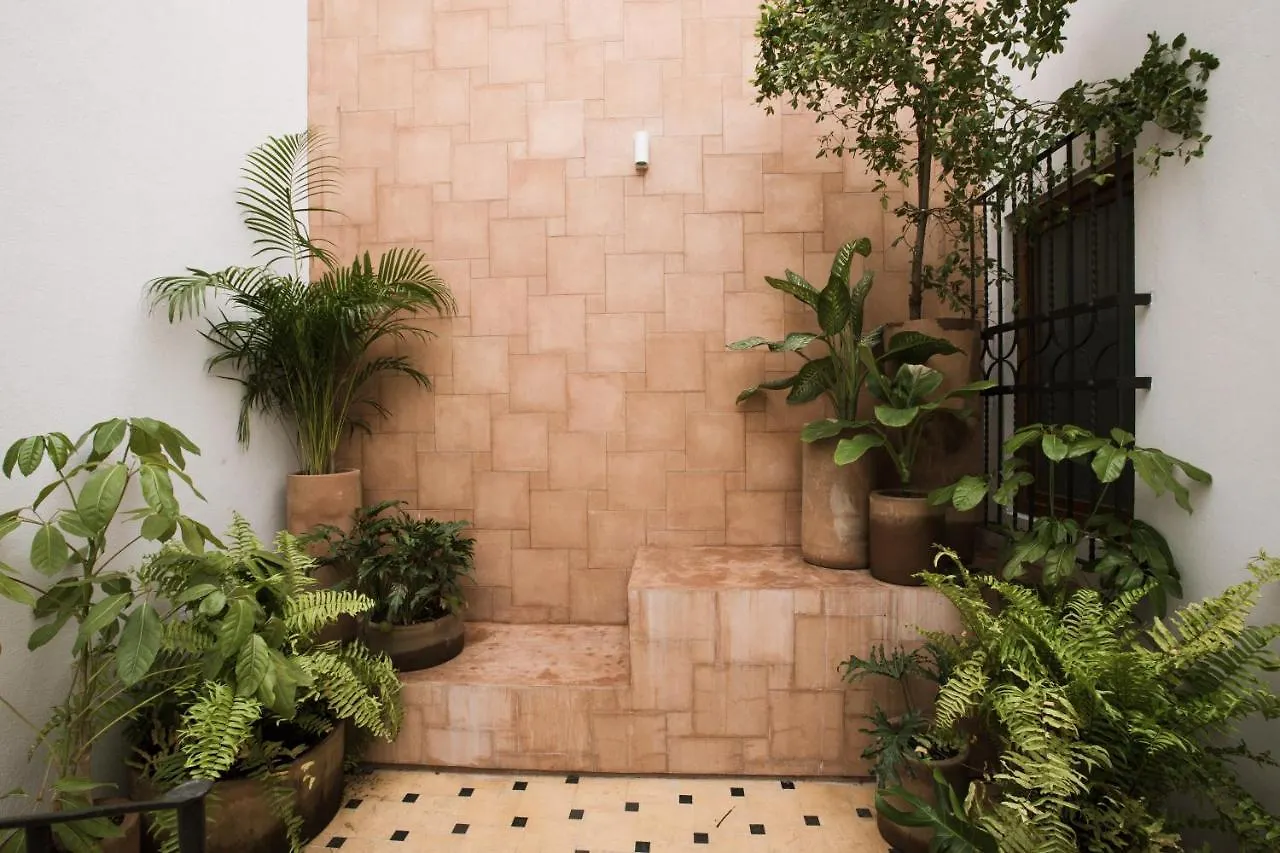 Casa Montore By Barrio Mexico グアダラハラ