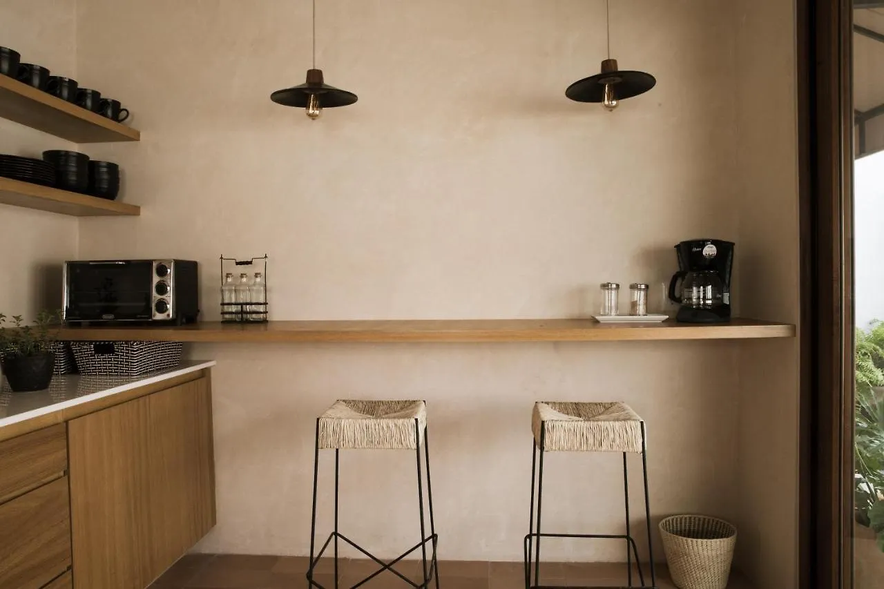 Casa Montore By Barrio Mexico 과달라하라