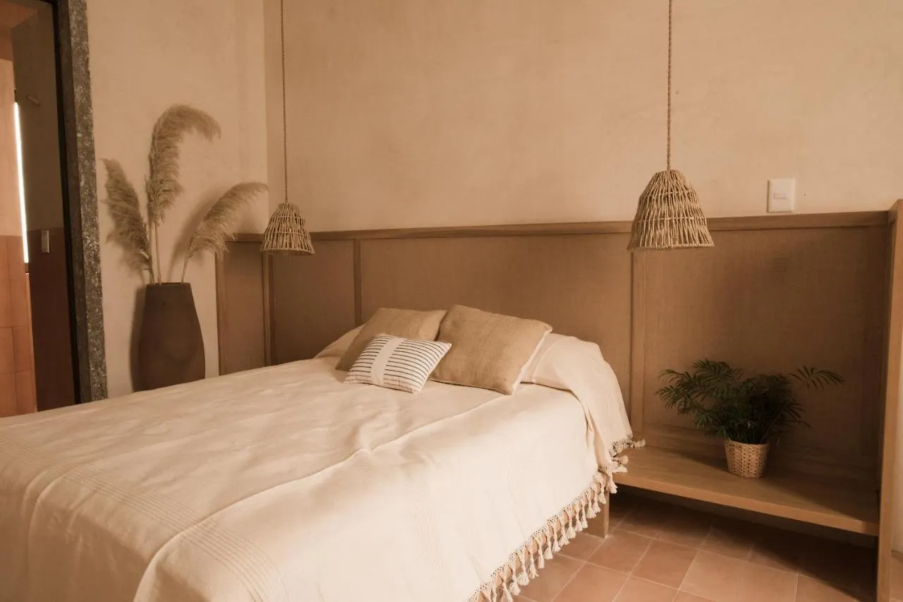 Casa Montore By Barrio Mexico Guadalajara