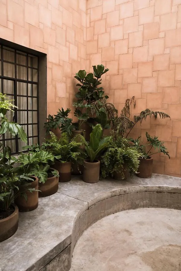 Casa Montore By Barrio Mexico Guadalajara Mexico